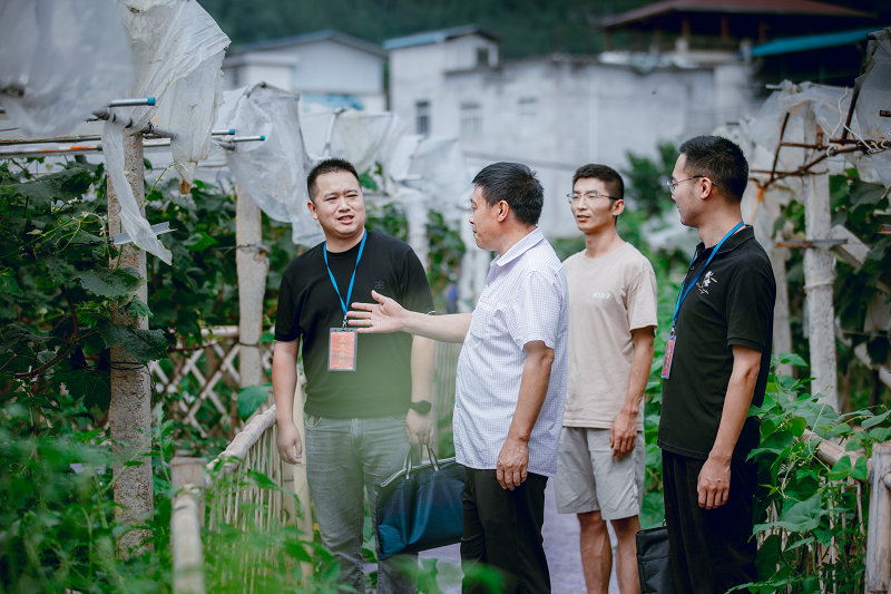 湖北巴东县：护航柑橘产业  打通果农“致富路”