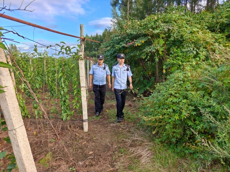 黑龙江省林区公安局清河分局五七农场派出所强化林田巡防管控 筑牢林区生态安全屏障