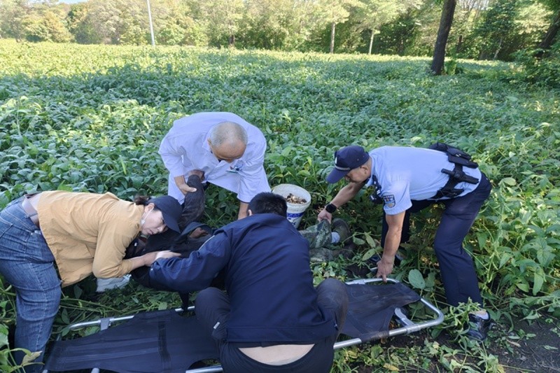 黑龙江林区公安：老人独自进山采菇突发疾病！警医联动紧急救援