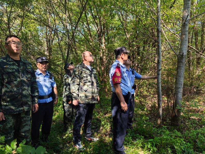 黑龙江省林区公安局清河分局西北河派出所联合林场义警开展实地踏查与生态巡护工作
