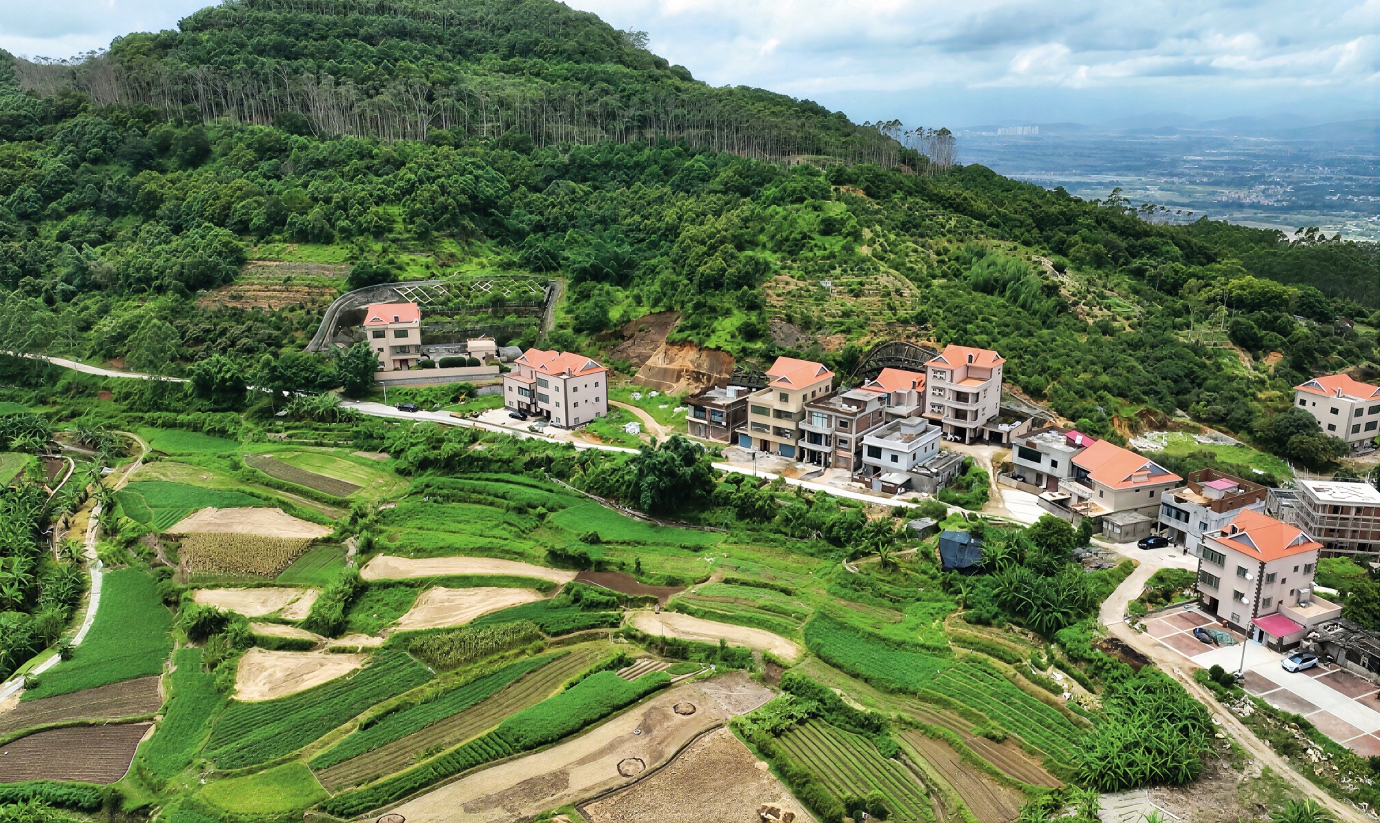 福建厦门：以司法之力助金豆“回家”