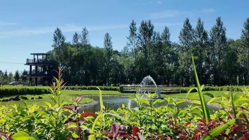 龙江森工集团：生态宜居绘新景 幸福指数加满格