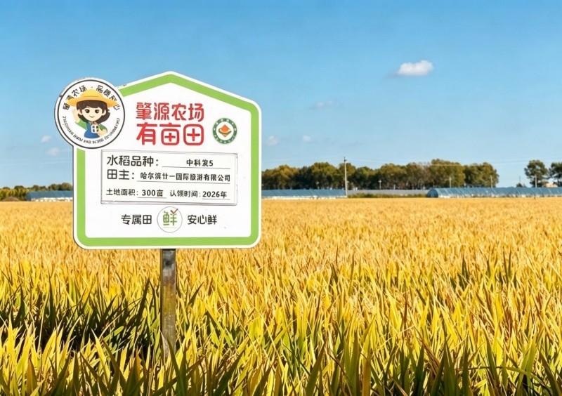 黑龙江以定制农业拓宽富民兴农新赛道