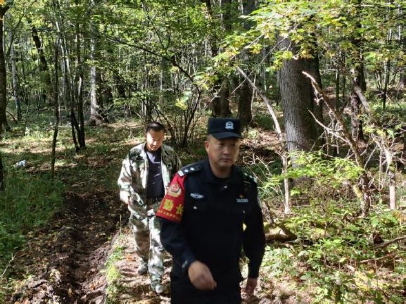 黑龙江省林区公安局东京城分局：巡山巡林不停歇 护航双节保平安
