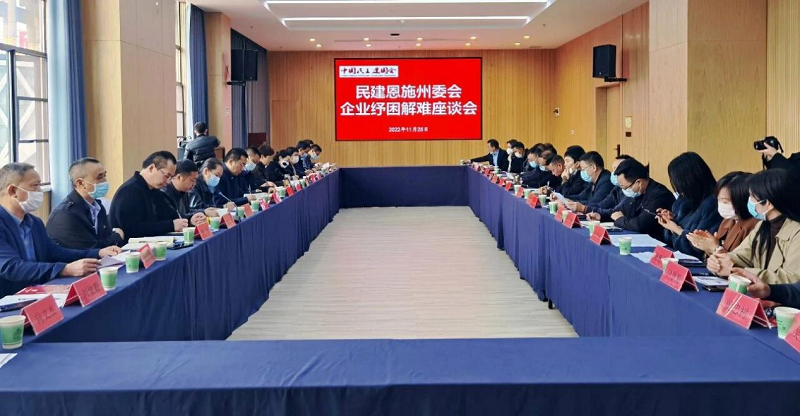 湖北恩施州民建：一杯清茶聚同心 茶叙赋能助远航