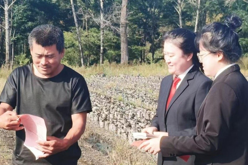 黑龙江省伊春市友好区人民法院上甘岭法庭普法助农庆丰收