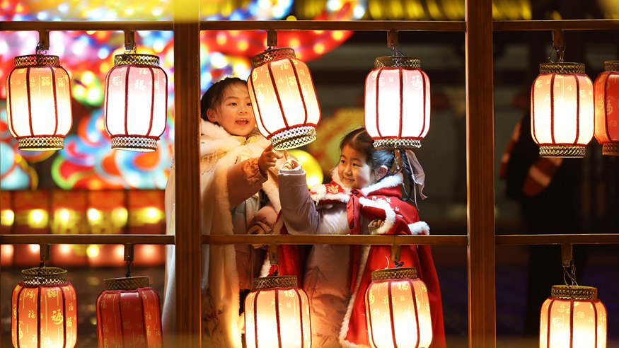 节庆显活力 四海年味长——乙巳春节假期回眸
