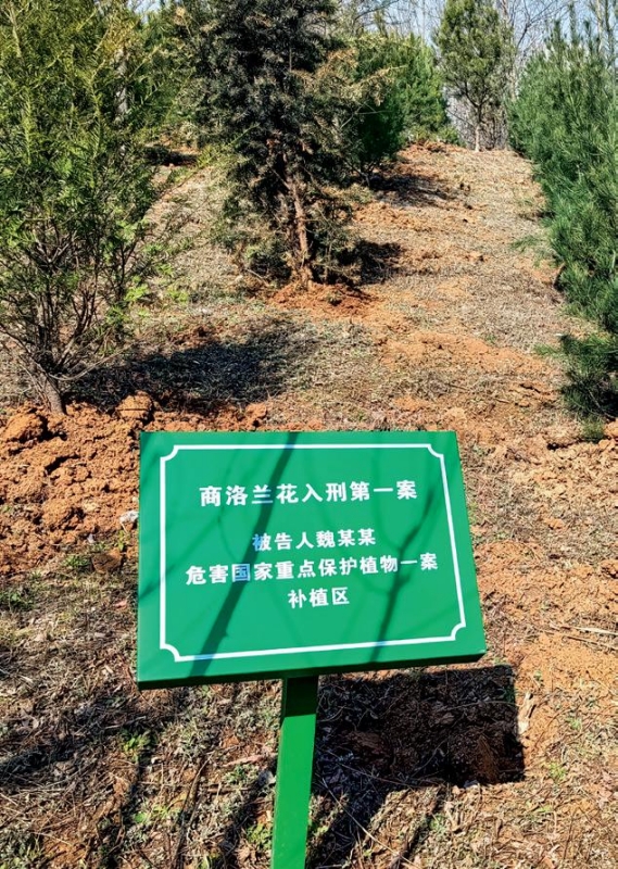 第13页-33.JPG