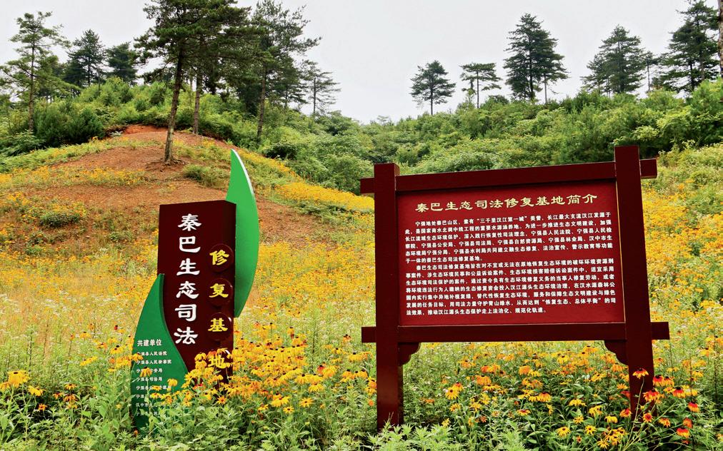 第14页-37.JPG