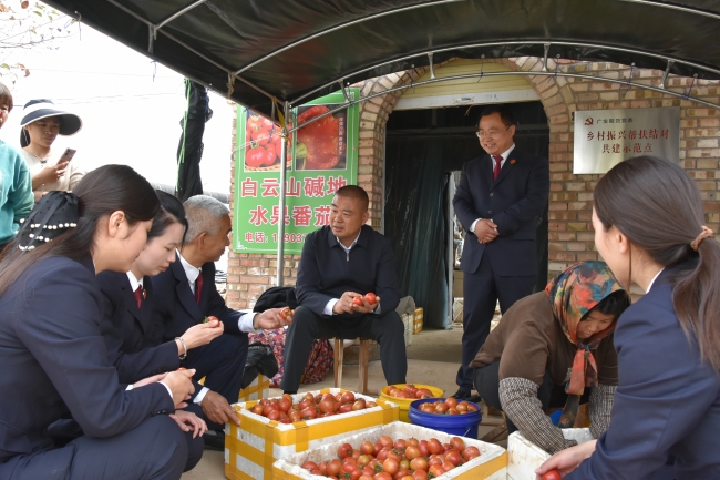 河南兰考：共话乡村新发展