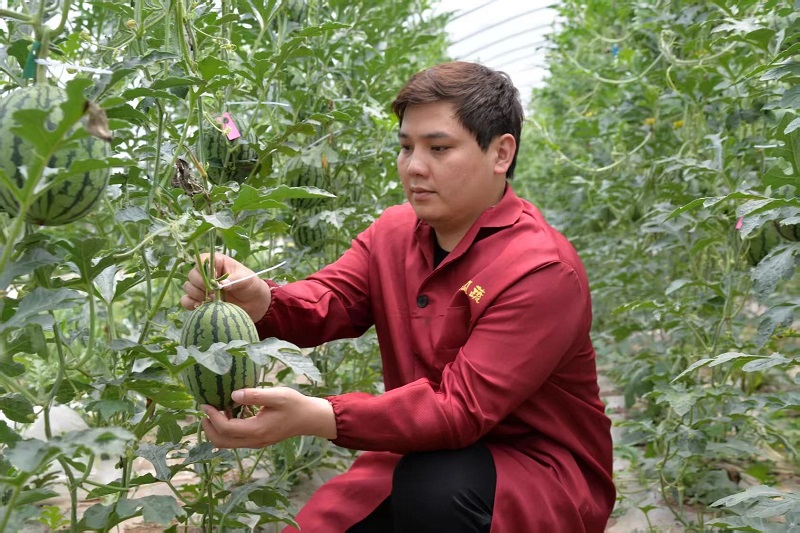 湖北省人大代表徐锋：有一种美好叫荆江畔的“瓜蔬梦”