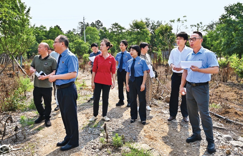 新时代司法为民办案手记（系列）| 一个不起诉案件背后的生态治理三重奏