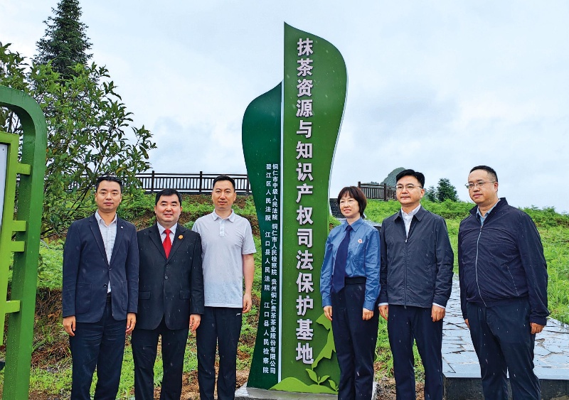 第50页-36_副本.jpg