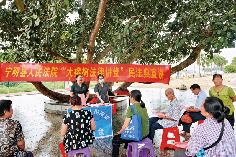 宁明法院以双语、生态、文化浇灌团结之花