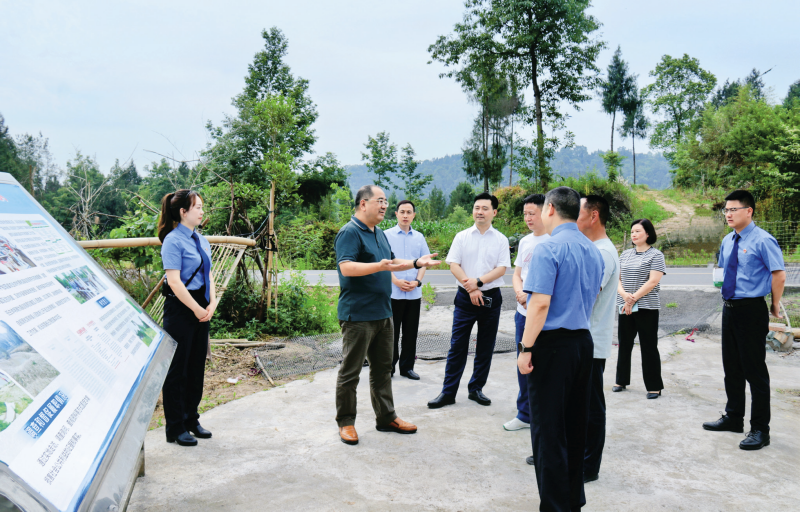 守护绿水青山 共绘公益新篇——四川省平昌县探索“人大代表建议+检察建议”融合履职新路径