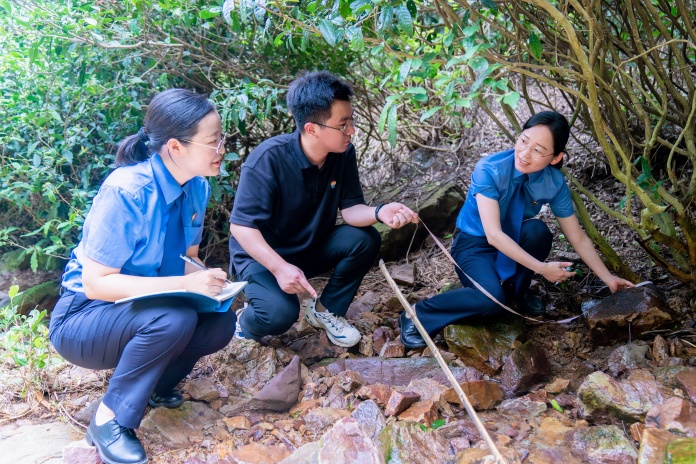 浙江长兴：开展涉茶公益诉讼专项行动