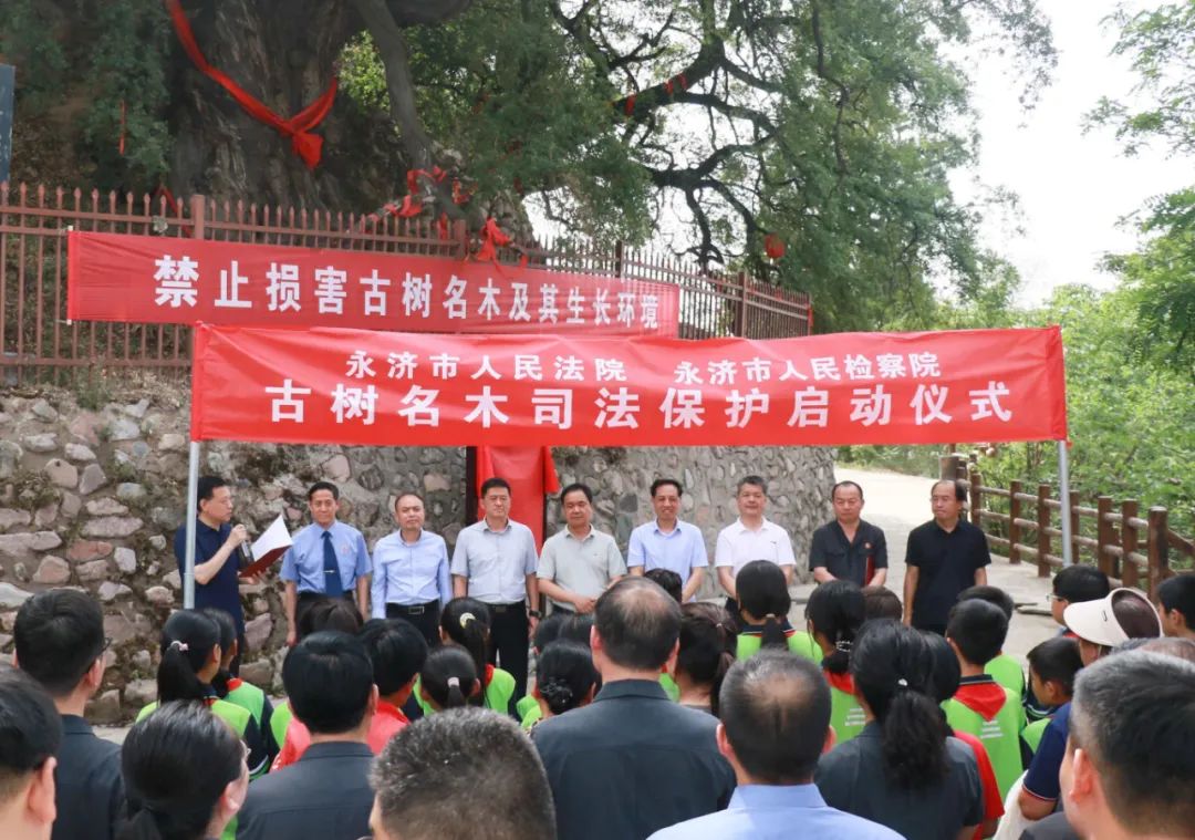 微信图片_20250520095954.jpg 微信图片_20250520095954.jpg