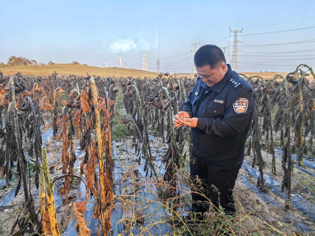 化德县公安局环食药侦大队：护农业，守生灵，卫红线1.jpg