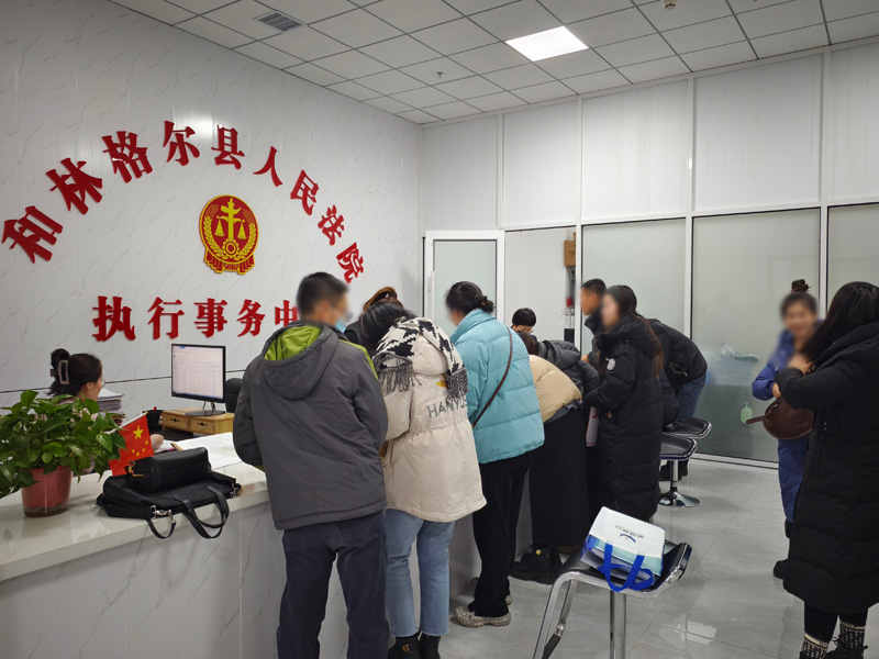 内蒙古和林格尔县人民法院执行局开展“清积惠民•护航金融”专项执行行动
