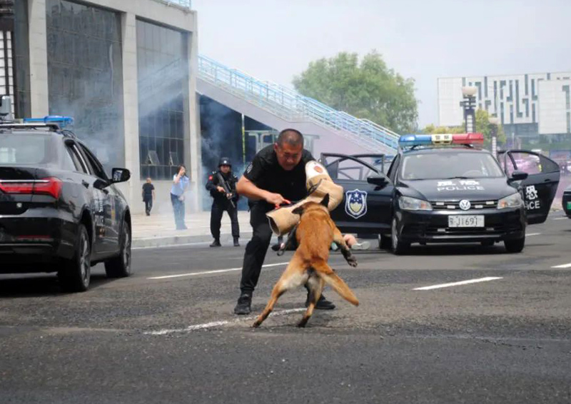 忠诚铸盾,守护平安——乌兰察布市公安局集宁分局反恐怖和特巡警大队的使命与担当5.jpg