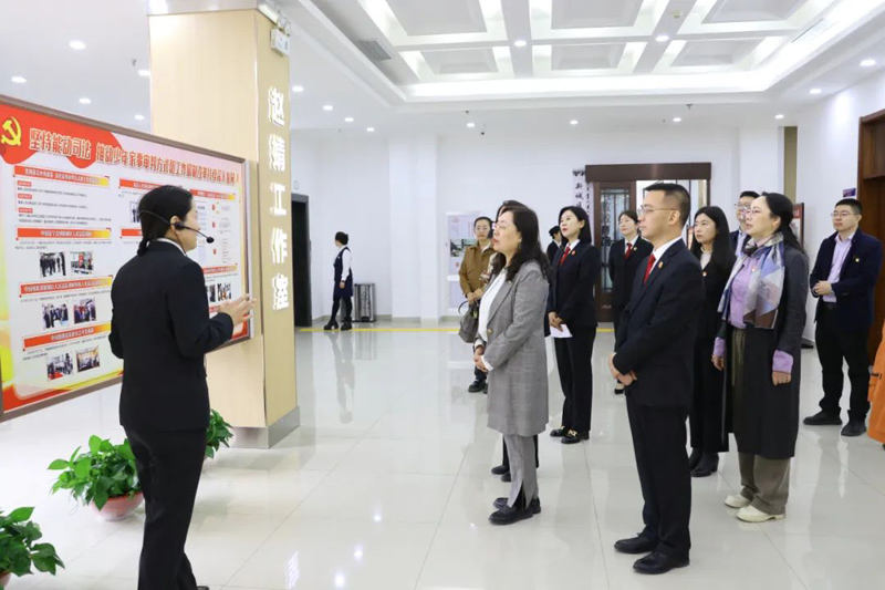 高校留学生走进内蒙古新城法院——这场法治文化传播暨主题党日活动很精彩