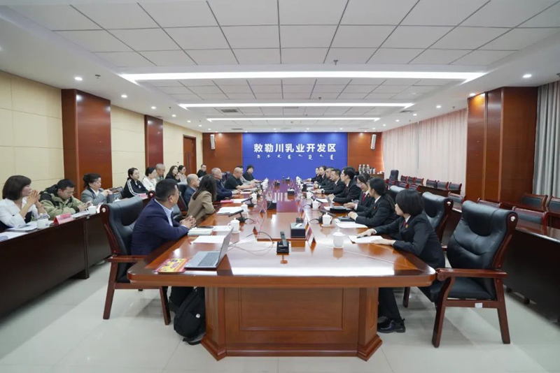 树品牌、强治理、护发展——呼和浩特市新城区法院深化“知行青城”品牌建设，为创新发展注入司法新动能
