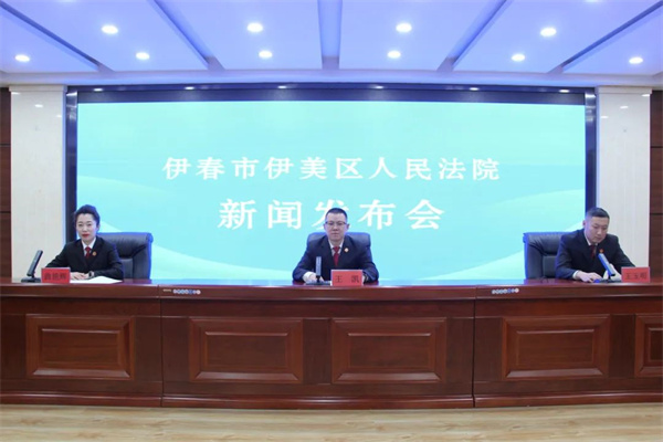 黑龙江省伊春市伊美区人民法院召开2024年度人民法庭工作开展情况新闻发布会