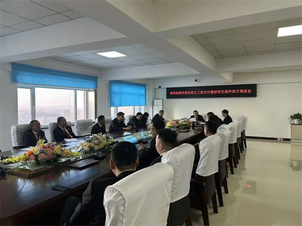 黑龙江省青冈法院召开关于开展农民工工资支付暨涉民生案件执行推进会