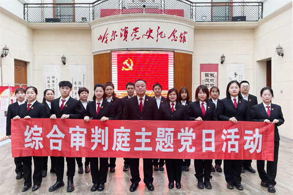 回眸2024 | “综”观全局 “综”诚履职——黑龙江省哈尔滨市南岗区人民法院综合审判庭2024年工作纪实
