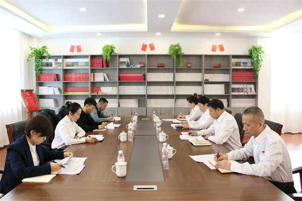 黑龙江省南岔县人民法院党组召开2024年度民主生活会