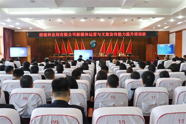图片31.png