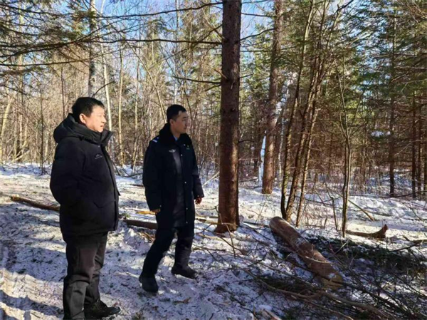 “林警长制”激活生态“细胞” 三举措守护通林绿色“DNA”——黑龙江省林区公安局通北分局群力派出所多举措守护绿水青山