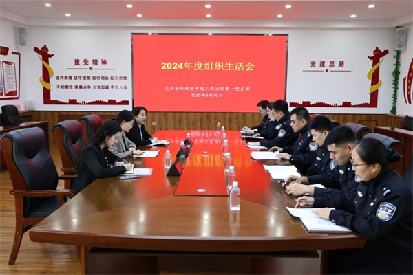 黑龙江省大兴安岭地区中级人民法院第一党支部召开2024年度组织生活会暨民主评议党员会议