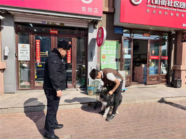 图片8.png