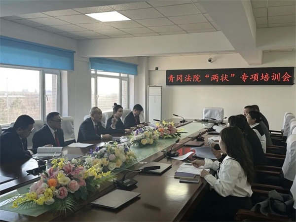 黑龙江省青冈县人民法院召开“两状”专项培训会