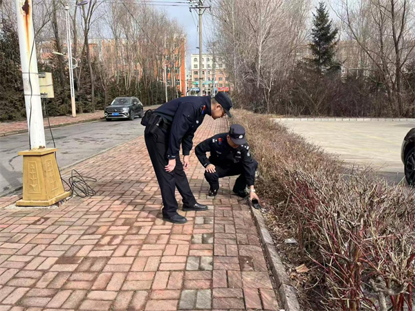 图片13.png