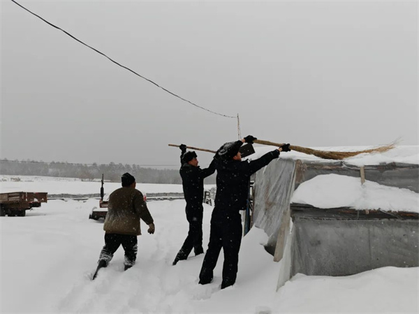 黑龙江省塔河县公安局：民警助力清积雪 服务群众暖民心