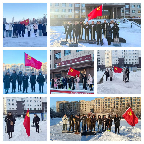 黑龙江省绥棱县人民法院开展“除雪战寒冬 理论筑初心”主题党日活动