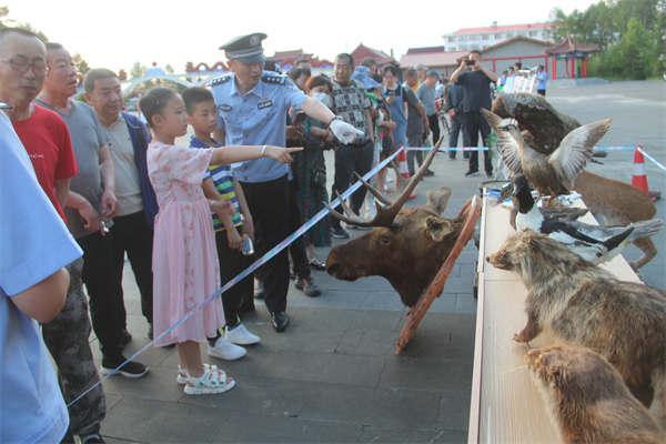 图片12.png