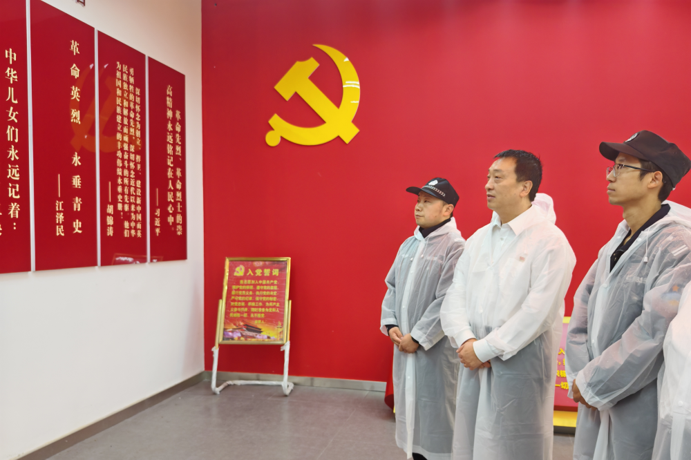 祭英魂 缅先烈丨河南省南阳市西峡县法院举办烈士纪念日公祭活动