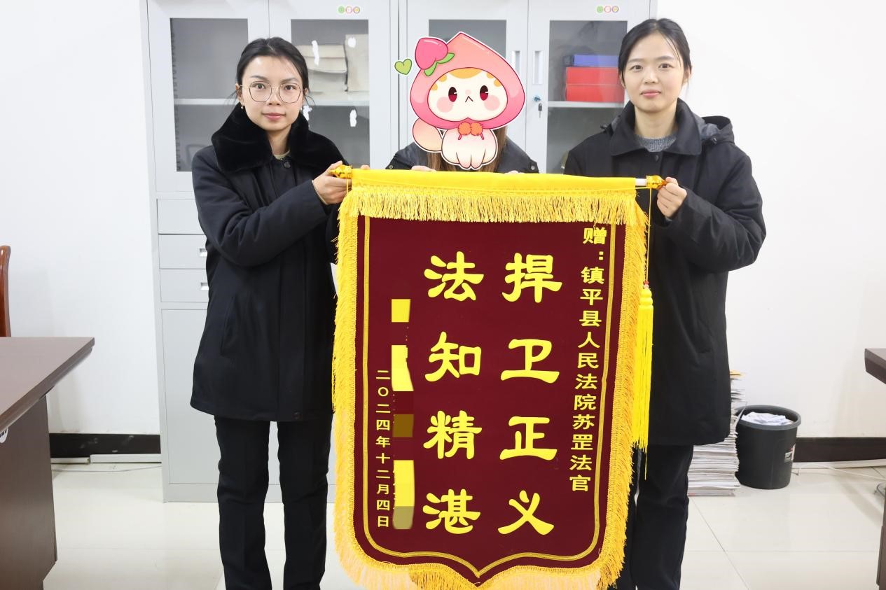 河南省南阳市镇平县法院：“如我在诉”暖人心 千里送锦旗致谢意