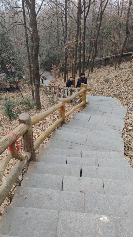 图片2.jpg 图片2.jpg