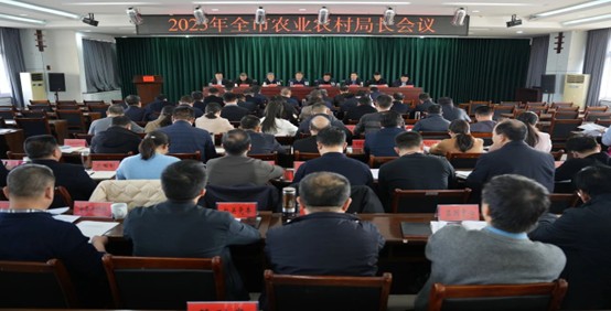 2025年河南省洛阳市农业农村局长工作会议召开