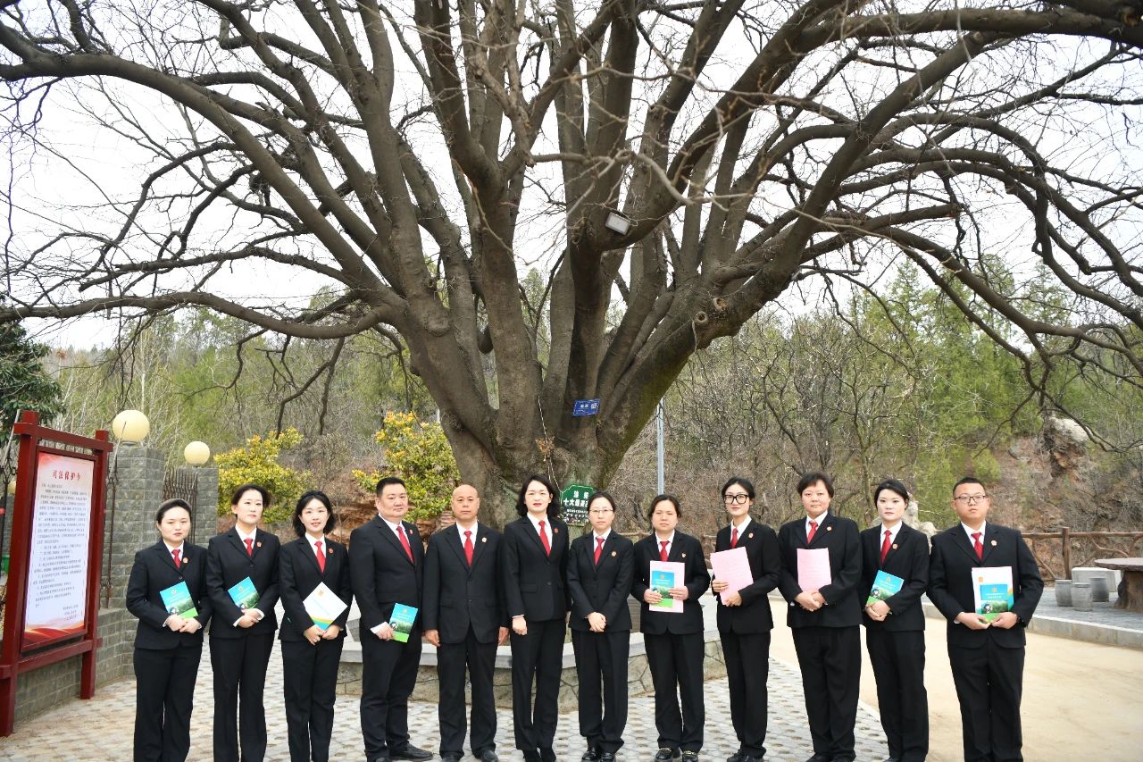 河南省汝阳法院联合市法院发布全市首份古树司法保护令