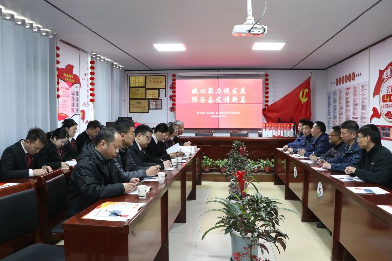 河南栾川法院：党建引领促合力 法治护企促发展
