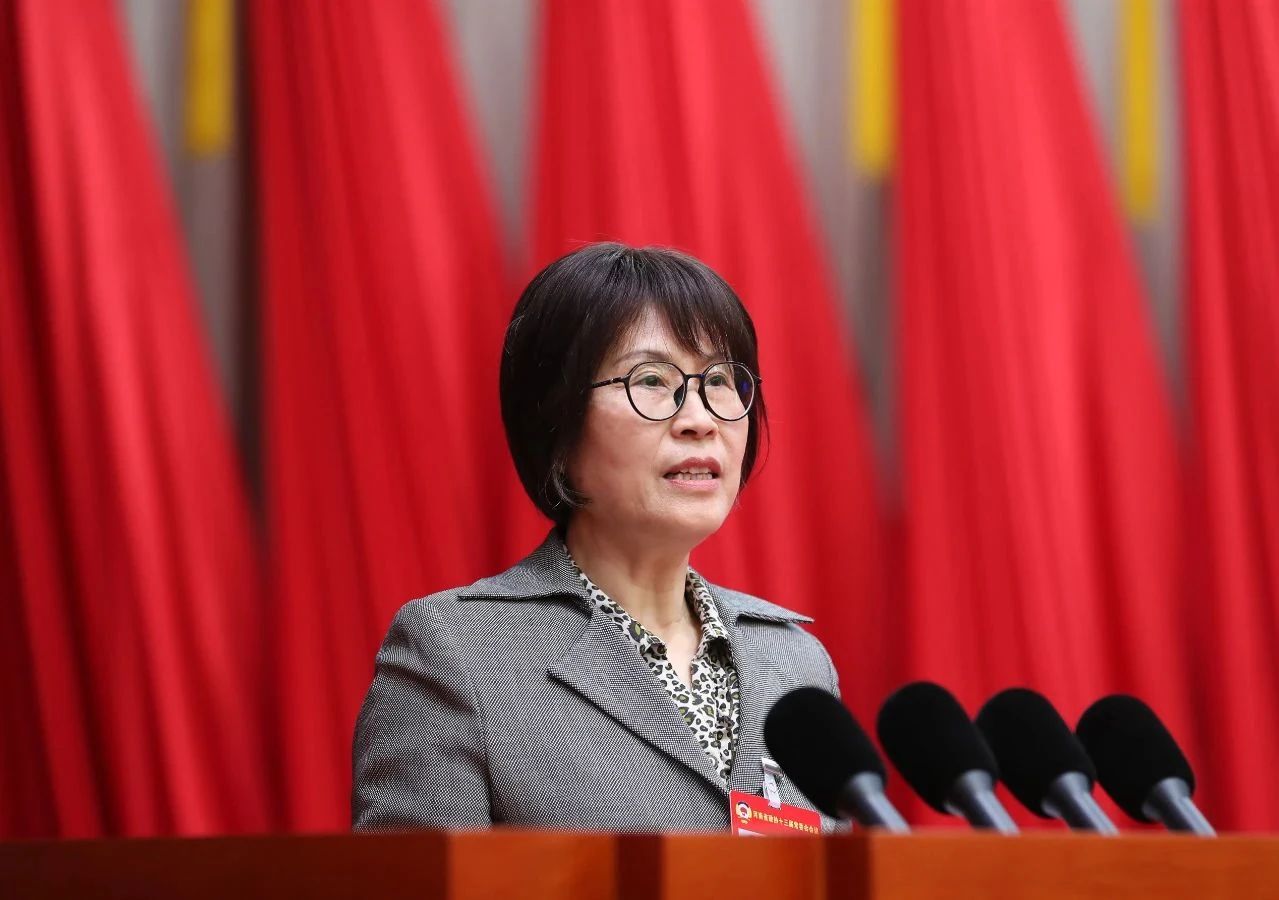 王燕飞在河南省政协十三届常委会第十三次会议上作大会发言
