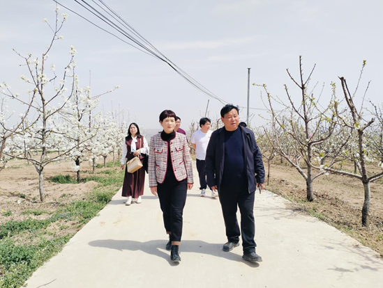 微信图片_20250331155256.png 微信图片_20250331155256.png