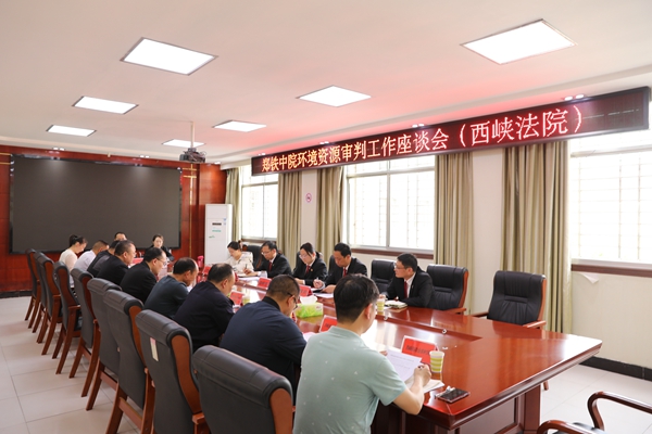 图为郑铁中院在西峡法院召开环境资源审判座谈会.jpg 图为郑铁中院在西峡法院召开环境资源审判座谈会.jpg