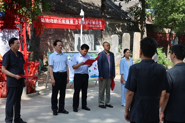 司法守护千年绿魂 古树保护令焕新生——河南省南阳市镇平县法院首发古树名木司法保护令