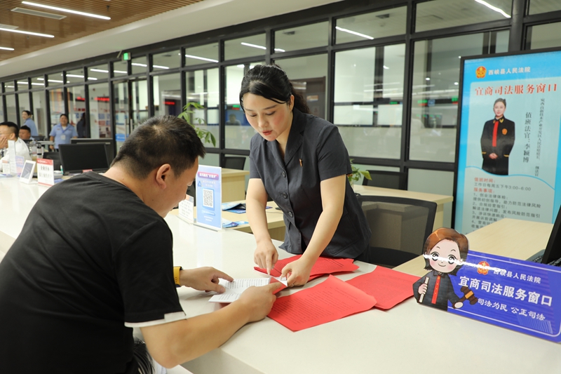 河南省南阳市西峡县法院：“小窗口”托起“大营商” 高效助企护航发展